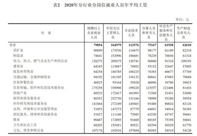 軟件和信息技術服務業(yè)投資與管理 以2020年全國規(guī)上企業(yè)薪資增長為鏡