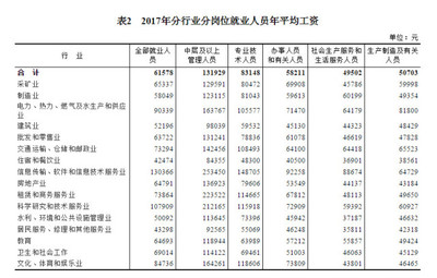 2017年規(guī)模以上企業(yè)軟件和信息技術(shù)服務(wù)業(yè)就業(yè)與投資態(tài)勢(shì)分析